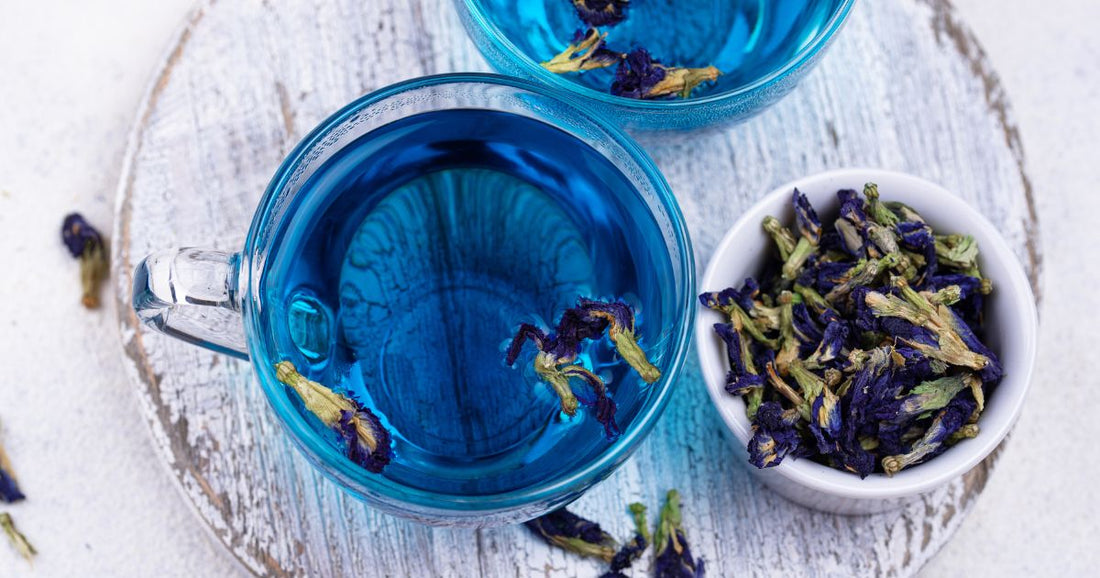 What is Butterfly Pea Tea? Yum, Fun and Refreshing.