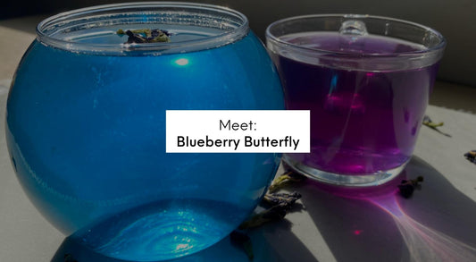 blueberry butterfly pea flower tea ultraviolet teas