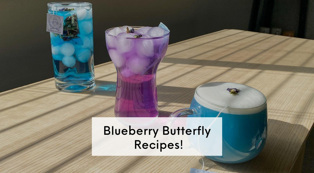 Blueberry Butterfly Recipes!