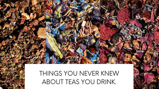 whats really inside your tea bag ultraviolet tea