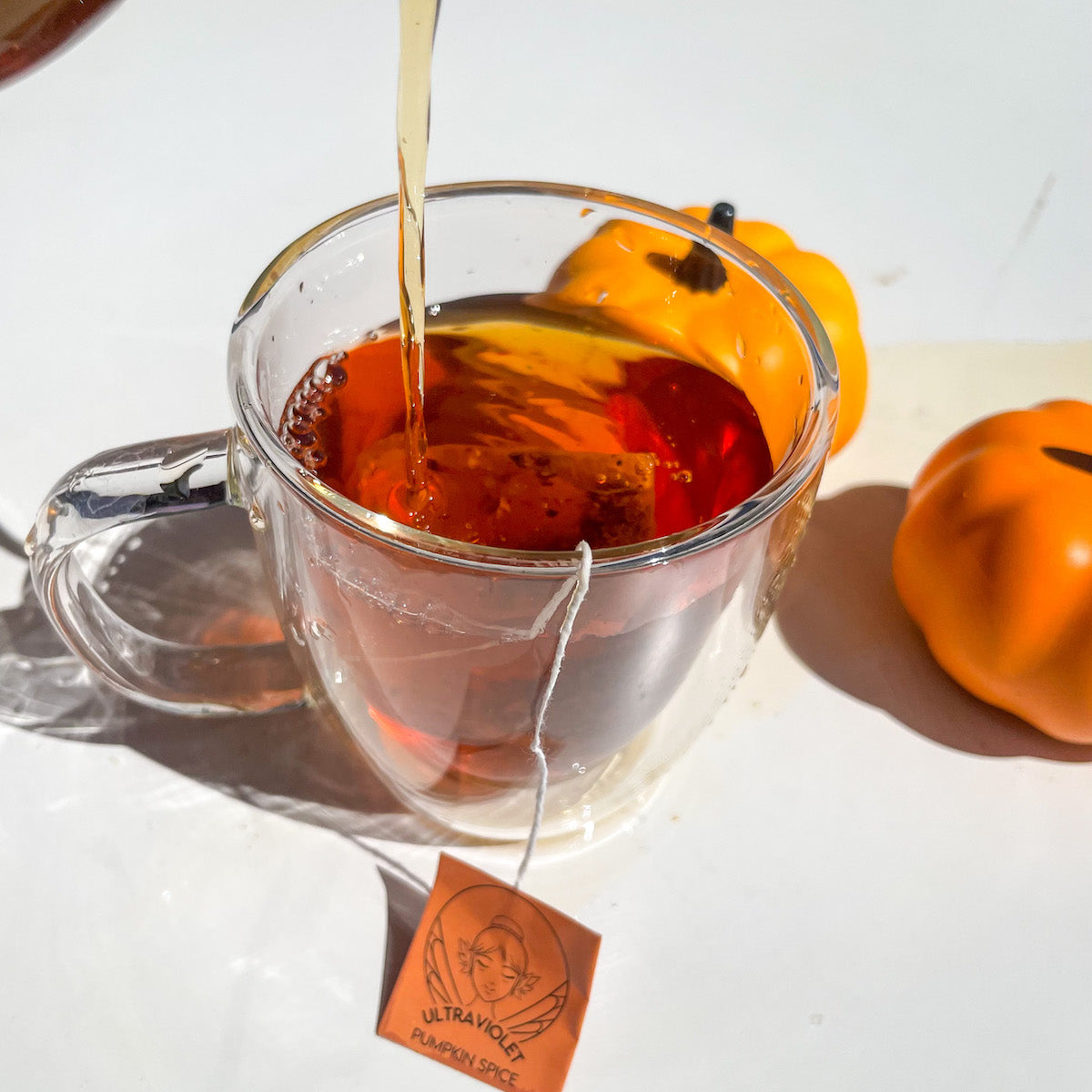 CLOSEOUT - Pumpkin Spice Tea - 6 Pack (Prior Batch)