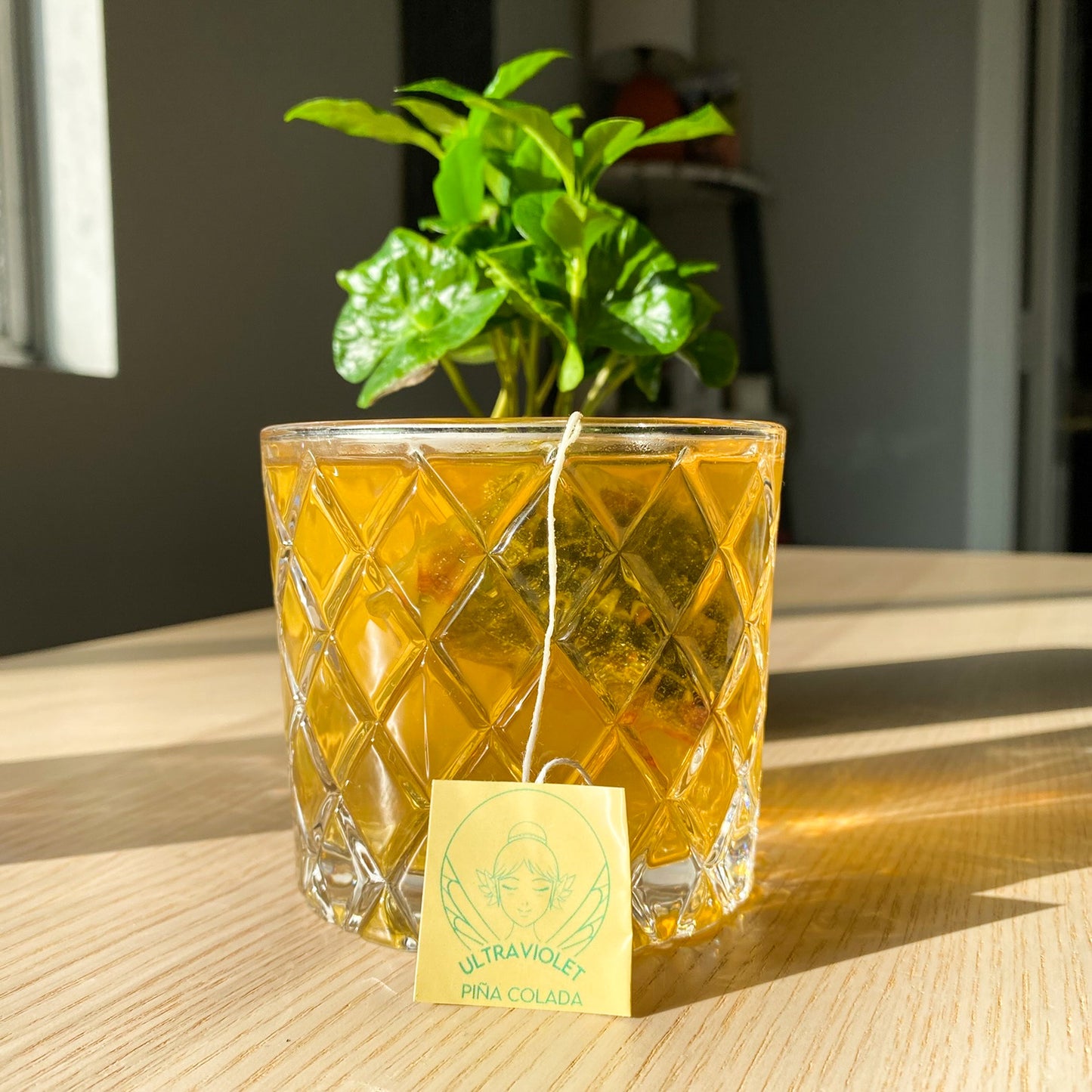 Pina Colada Tea | Tropical Blend